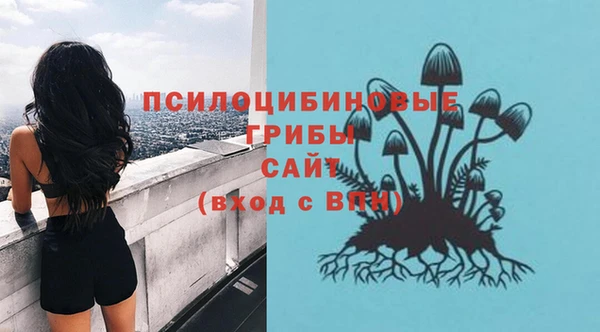 соль ск Верея